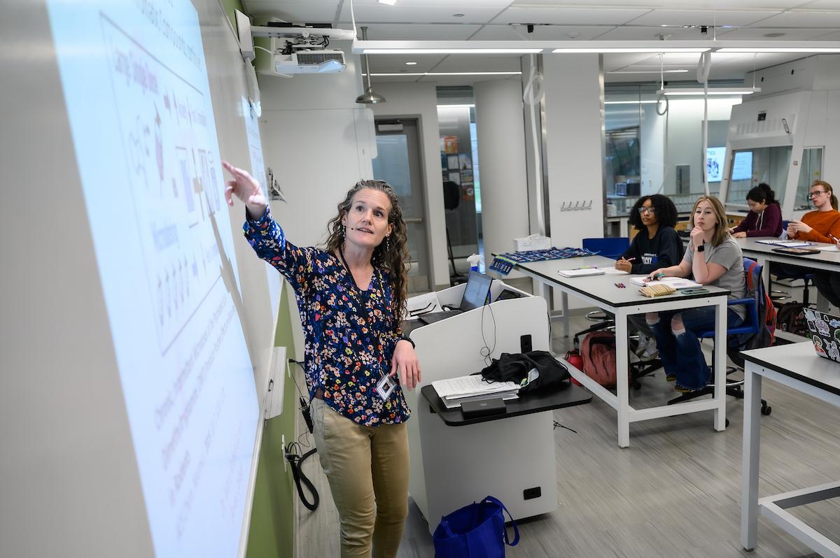 faculty member teaching class